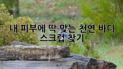 내 피부에 딱 맞는 천연 바디 스크럽 찾기 ✨